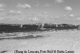 Leucate2